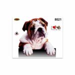 Adesivi Stickers Medi Cane Bulldog 13,5 x 16 cm