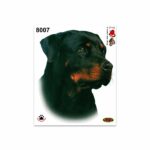 Adesivi Stickers Medi Cane Rottweiler 13,5 x 16 cm